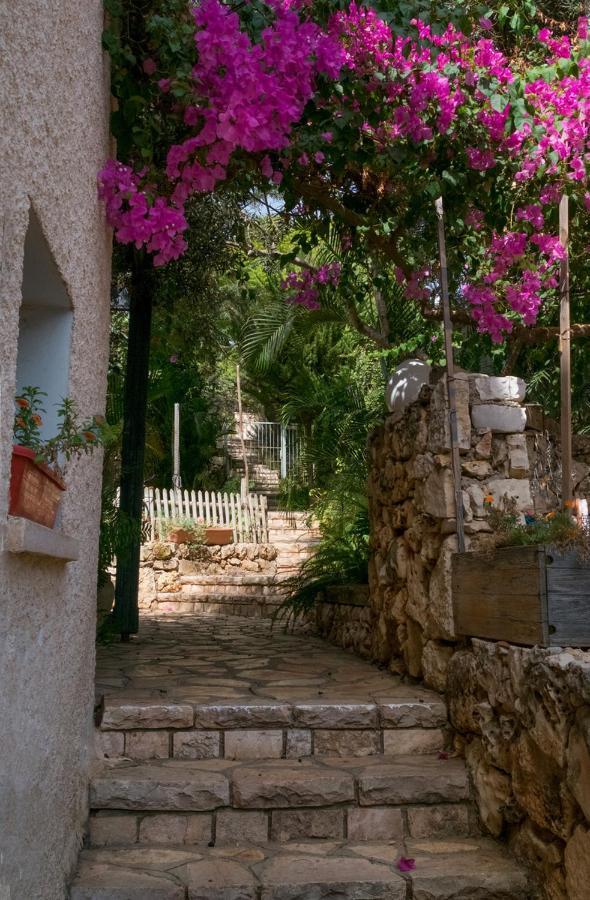 Natural Reserve Apartment Zikhron Yaakov Extérieur photo