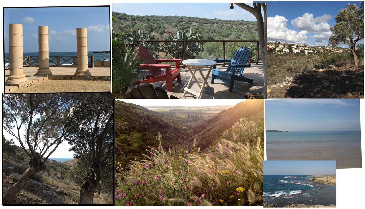 Natural Reserve Apartment Zikhron Yaakov Extérieur photo